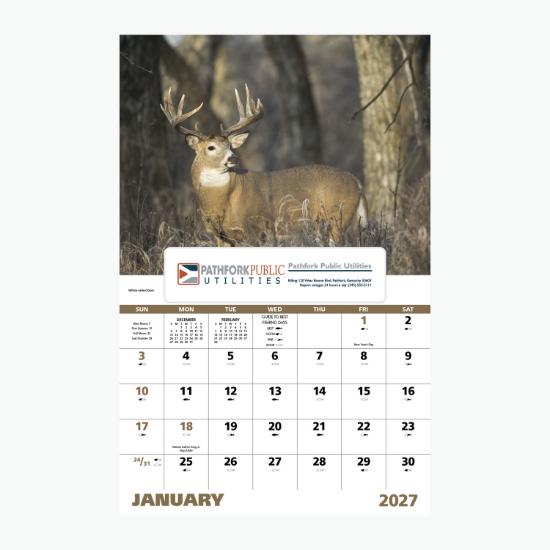 Window Wall Calendar - Full Color - Wildlife Portraits