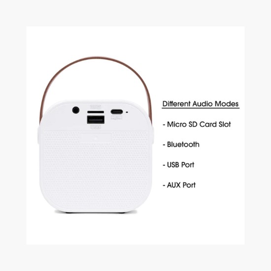Portable Karaoke System with Dual Microphone - 24-Hour Production
