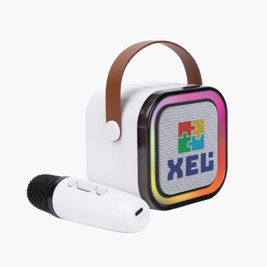 Portable Karaoke System