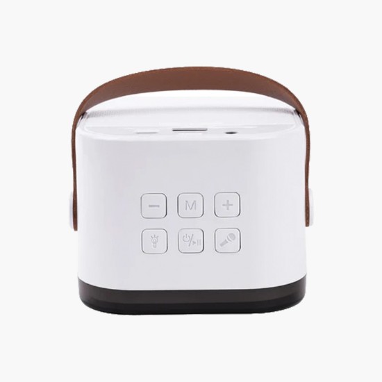 Portable Karaoke System