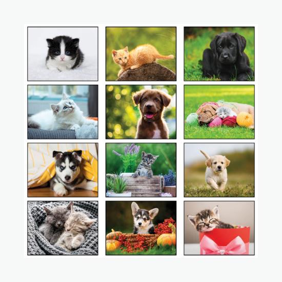 Puppies & Kittens Wall Calendar - Spiral Bound