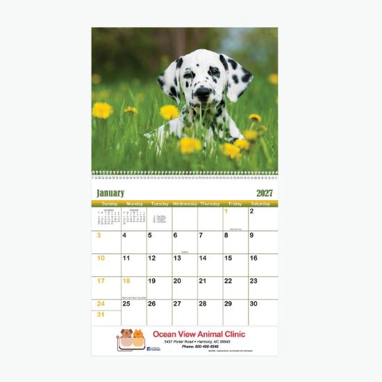 Puppies & Kittens Wall Calendar - Spiral Bound