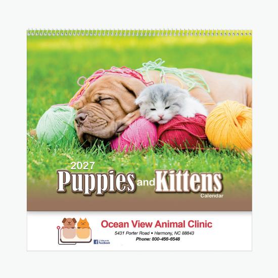 Puppies & Kittens Wall Calendar - Spiral Bound