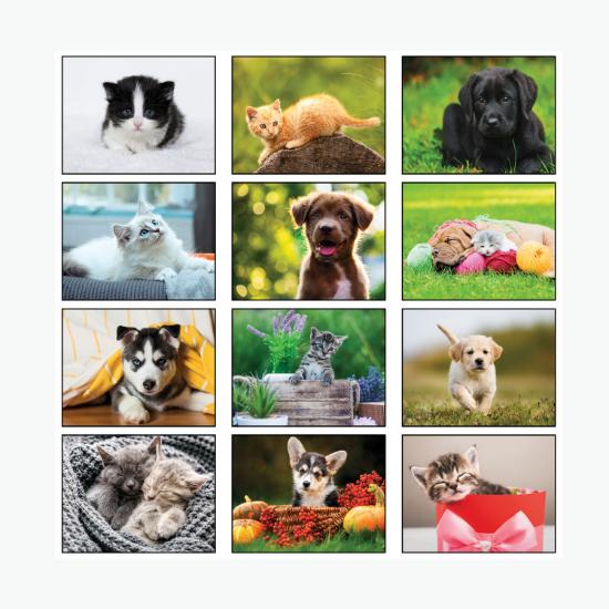 Puppies & Kittens Wall Calendar - Stapled