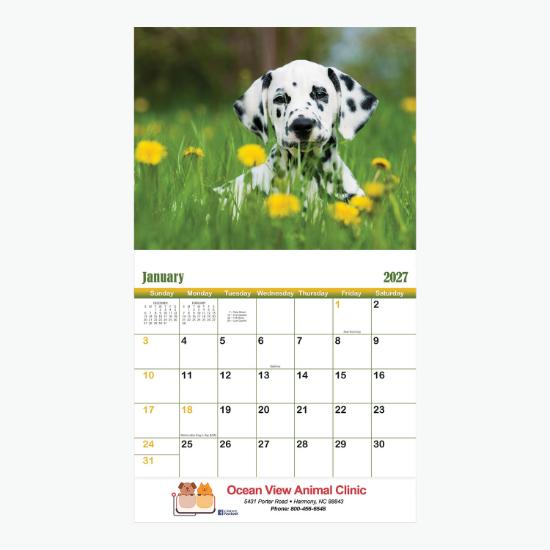 Puppies & Kittens Wall Calendar - Stapled