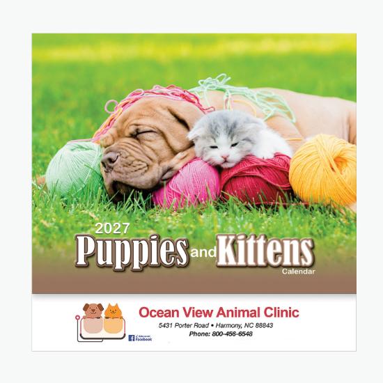 Puppies & Kittens Wall Calendar - Stapled