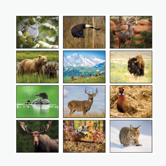 Wildlife Wall Calendar - Stapled