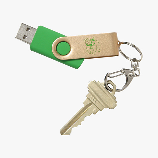 Swivel Flash Drive - 1GB
