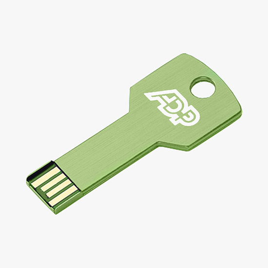 Key USB Flash Drive w/2GB