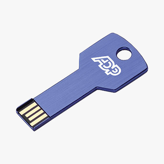 Key USB Flash Drive w/8GB