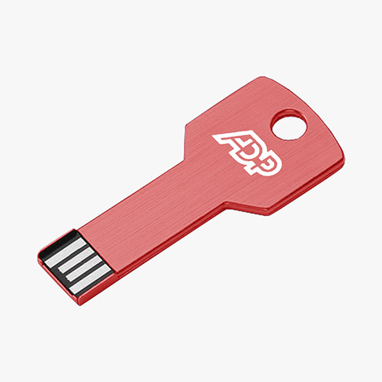 Key USB Flash Drive w/8GB