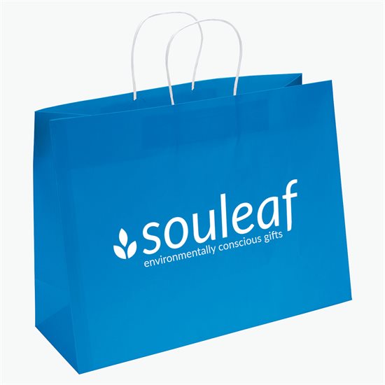 Large Bright Matte Shopping Bag - 12 x 16