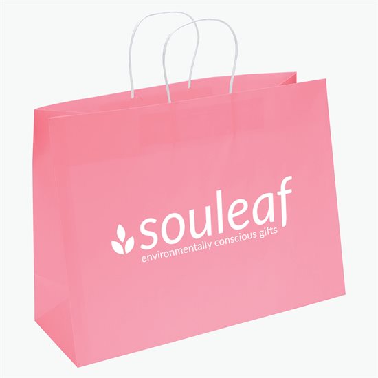 Large Bright Matte Shopping Bag - 12 x 16