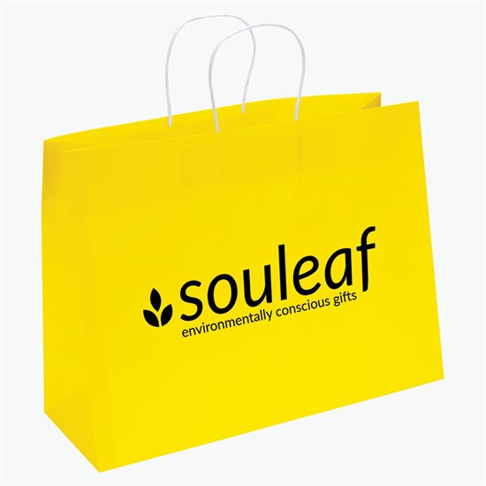 Large Bright Matte Shopping Bag - 12 x 16