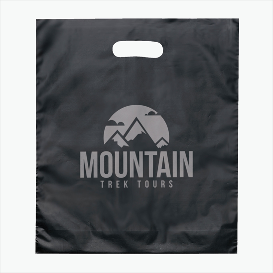 Frosted Die Cut Handle Bag - Large