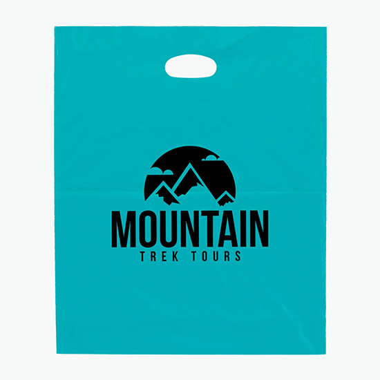 Frosted Die Cut Handle Bag - Large