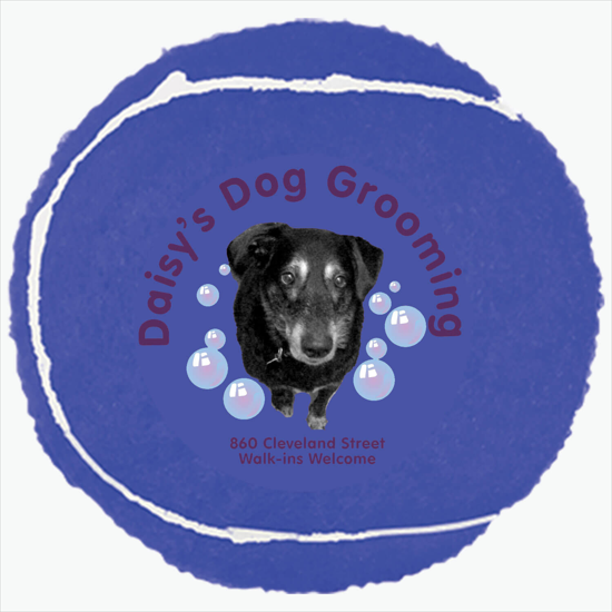 Full Color Pet Tennis Ball