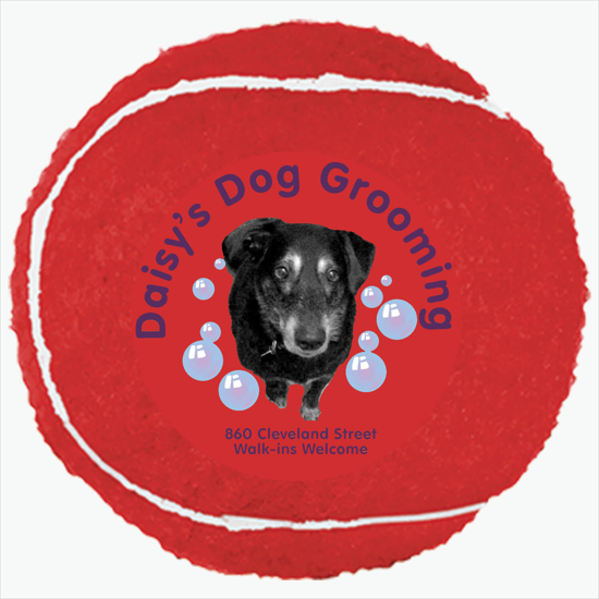 Full Color Pet Tennis Ball