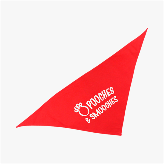 Small Pet Bandana