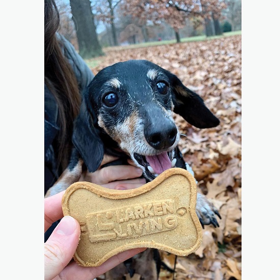 Logo Dog Cookie