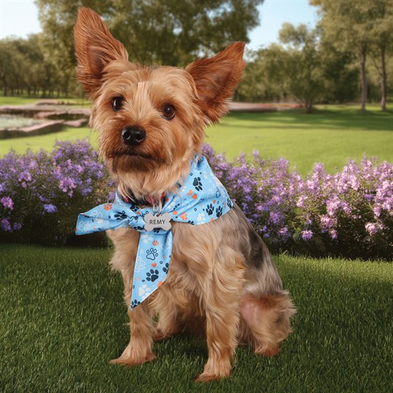 Full Color rPET Bandana