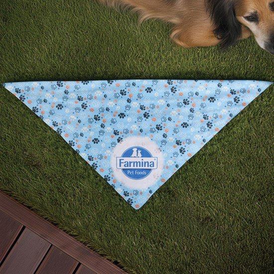 Full Color rPET Bandana