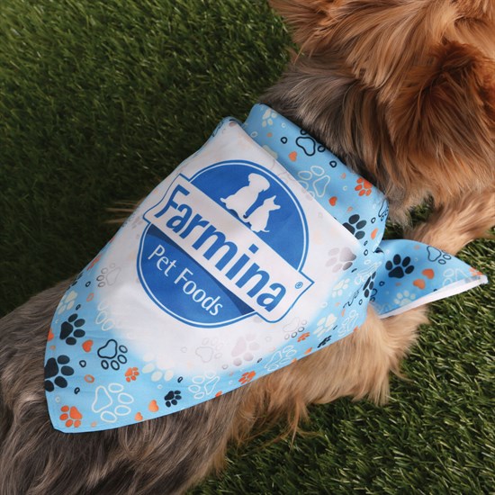 Full Color rPET Bandana