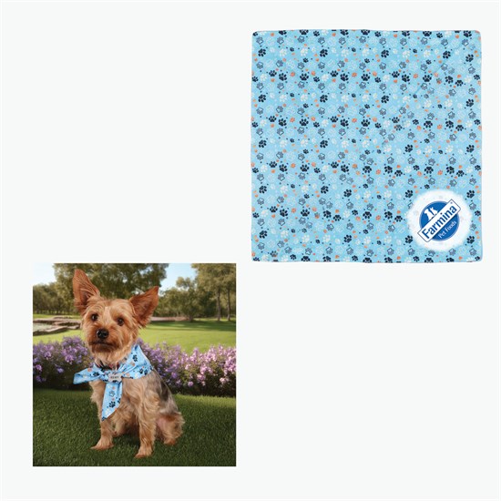 Full Color rPET Bandana