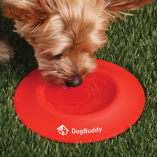 2-in-1 Silicone Pet Flyer & Drinking Bowl - Clearance