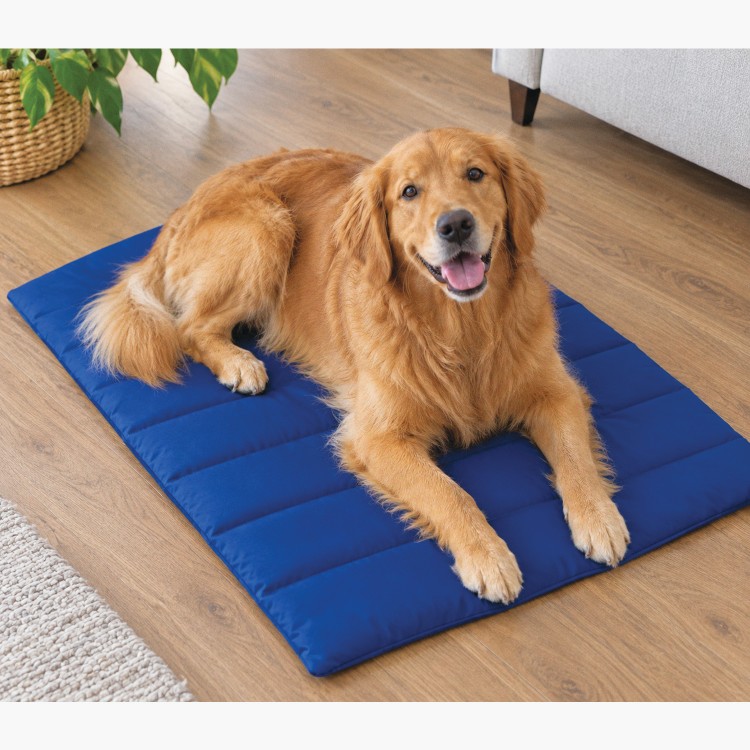 Pet Travel Roll-Up Mat