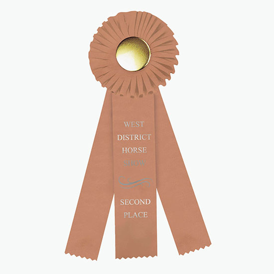 4 x 12 Rosette Award Ribbon