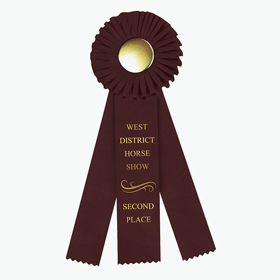 4 x 12 Rosette Award Ribbon