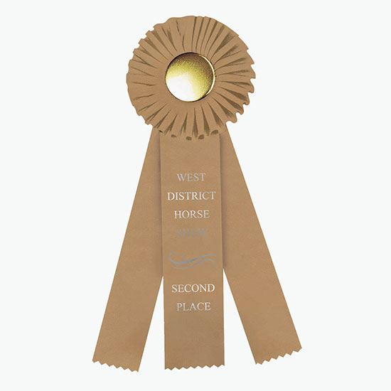 4 x 12 Rosette Award Ribbon