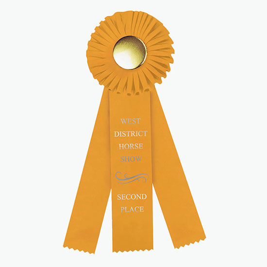 4 x 12 Rosette Award Ribbon