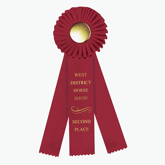 4 x 12 Rosette Award Ribbon