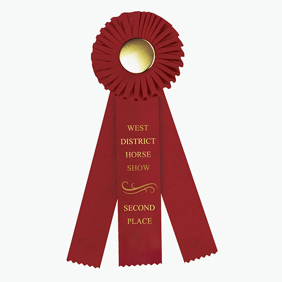 4 x 12 Rosette Award Ribbon