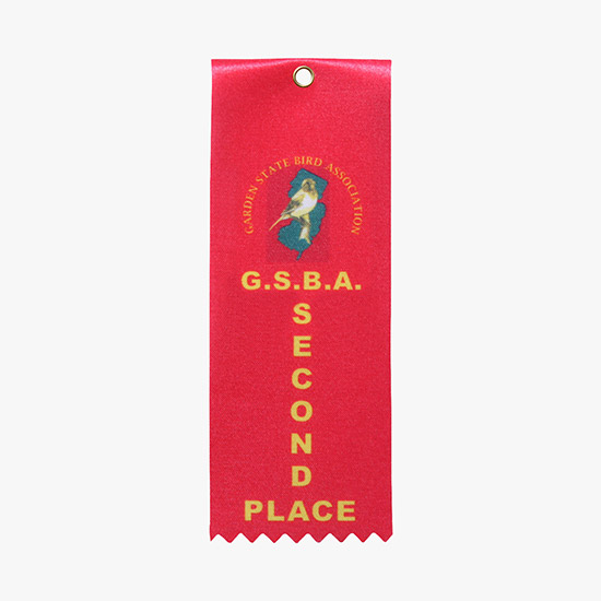 Full Color Vertical Eyelet Carded Ribbon - 2 x 6