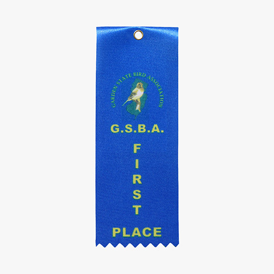 Full Color Vertical Eyelet Carded Ribbon - 2 x 6