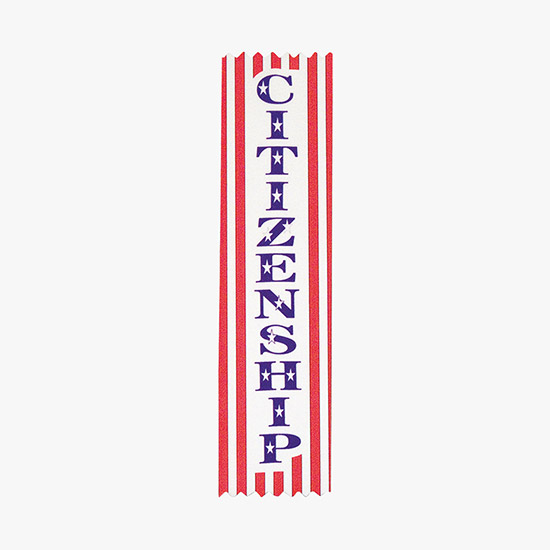 Full Color Scool Ribbons - 2 x 8