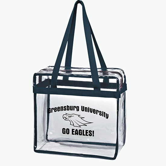 Clear Zippered Tote