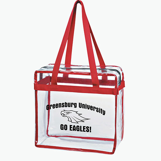 Clear Zippered Tote