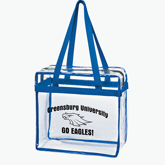 Clear Zippered Tote