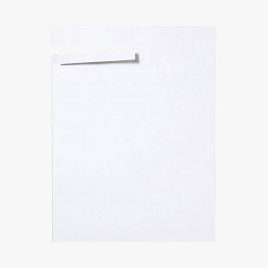 Slip-In Title Laser Stock - Pack of 25 Sheets/900 Cards