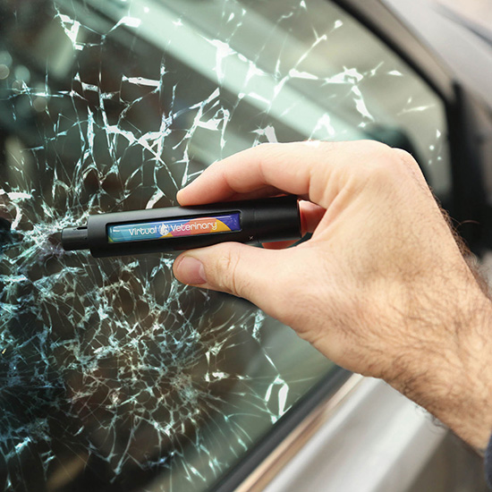 Slash N Smash Emergency Car Tool