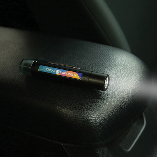 Slash N Smash Emergency Car Tool