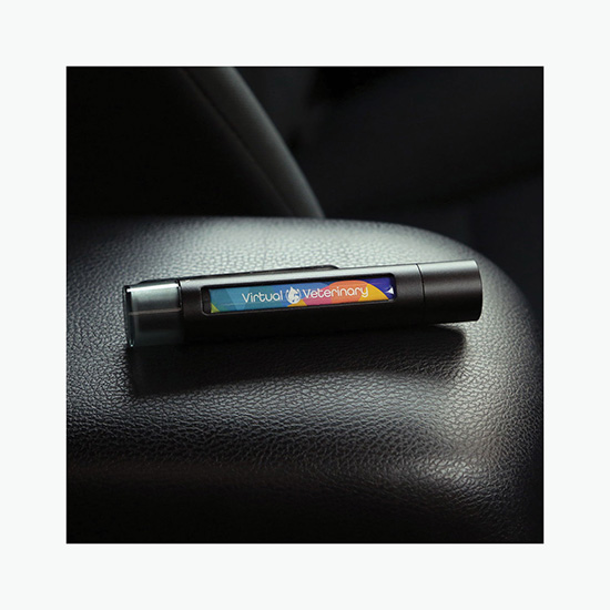 Slash N Smash Emergency Car Tool