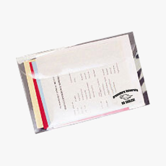 Vinyl Portfolio - Clear - Printed