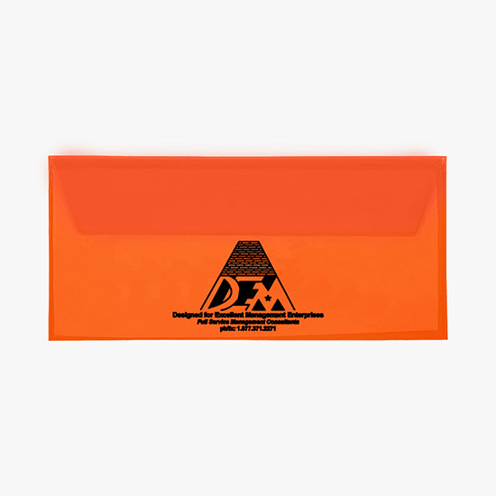 Translucent Document Envelope