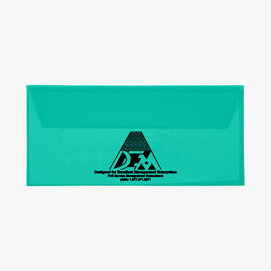 Translucent Document Envelope
