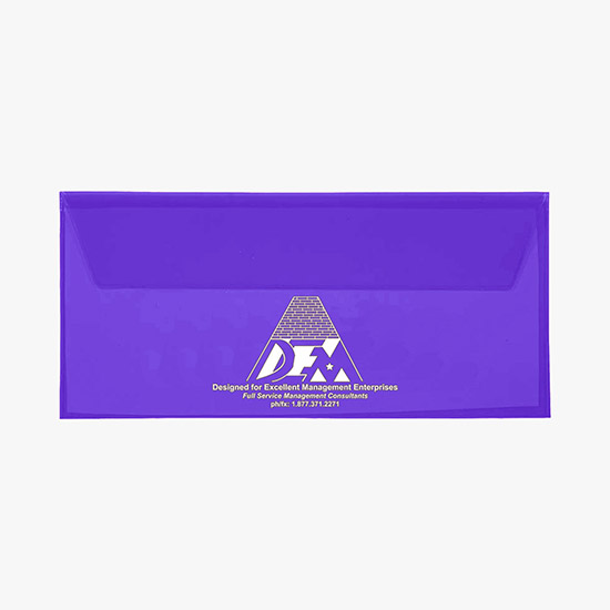 Translucent Document Envelope
